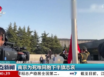 【国家公祭日】南京为死难同胞下半旗志哀