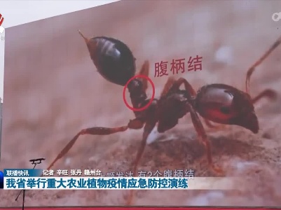 我省举行重大农业植物疫情应急防控演练