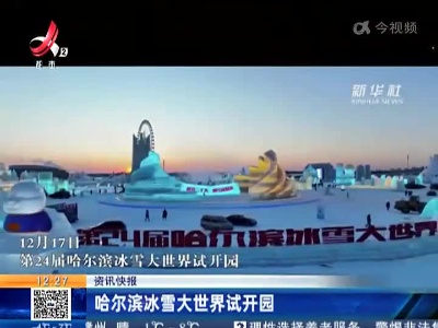 哈尔滨冰雪大世界试开园