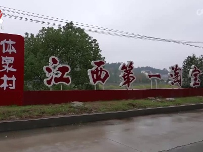 【新时代赣鄱先锋·一心为民好支书】钱栋桂：让电子商务成为乡村振兴的强劲动力
