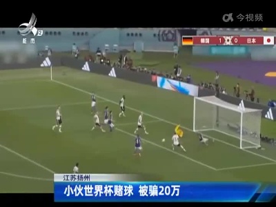 江苏扬州：小伙世界杯赌球 被骗20万