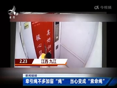 【新闻链接】牵引绳不多加留“绳” 当心变成“索命绳”