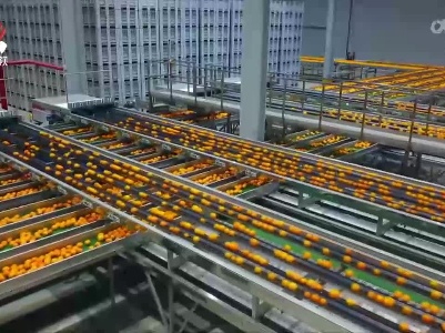 我省提前下达2023年中央农业相关转移支付超65亿元