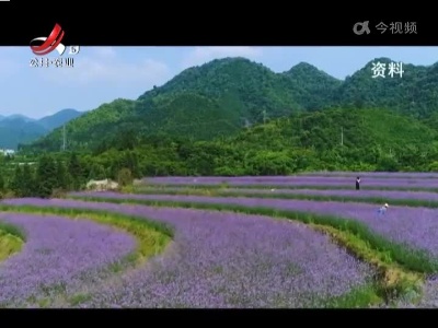 “彩虹童话村”何时再绽放？