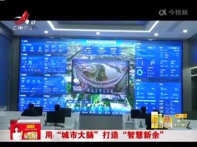 用“城市大脑”打造“智慧新余”