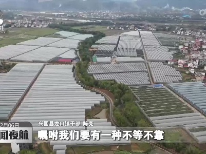 新闻夜航20221206