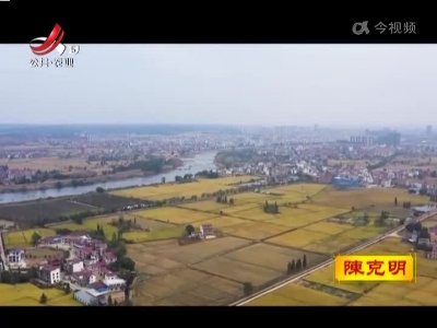 种他人的田赚自己的钱