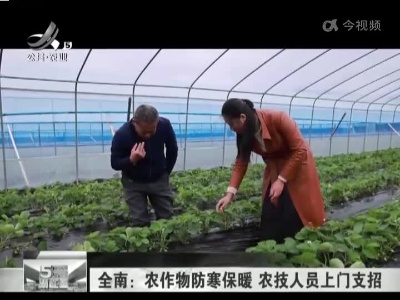 全南：农作物防寒保暖 农技人员上门支招