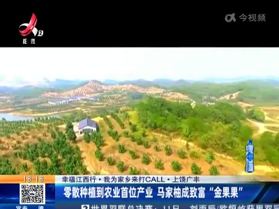 【幸福江西行·我为家乡来打CALL】上饶广丰：零散种植到农业首位产业 马家柚成致富“金果果”