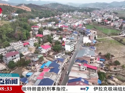 整点新闻20221120 14:00