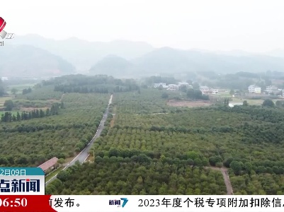 整点新闻20221209 14:00