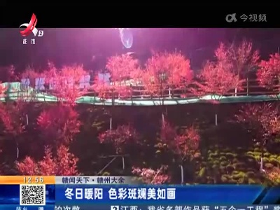 【赣闻天下】赣州大余：冬日暖阳 色彩斑斓美如画