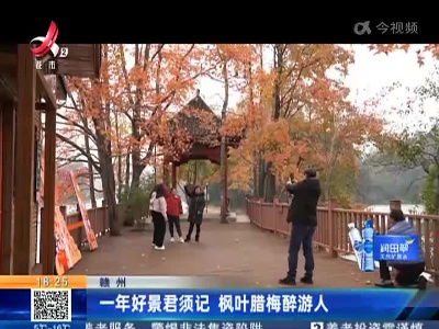 赣州：一年好景君须记 枫叶腊梅醉游人