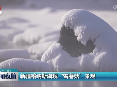 新疆喀纳斯湖现“雪蘑菇”景观
