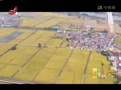 新闻晚高峰20221229