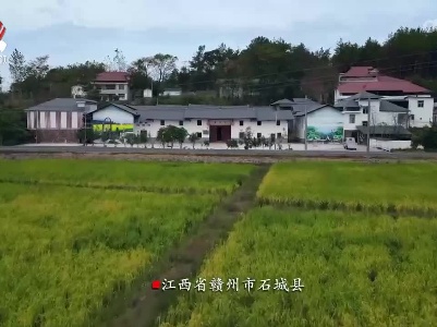 老表们的新生活20221110 大山里的“追冰梦”