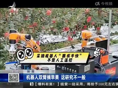 陕西：机器人双臂摘苹果 这研究不一般