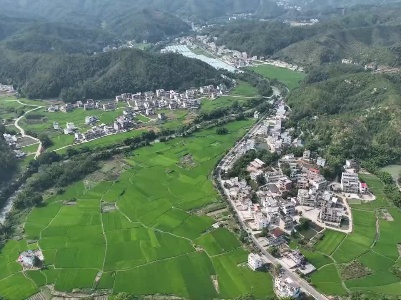 50多条建议转化为政策，省政协委员为乡村振兴出谋划策