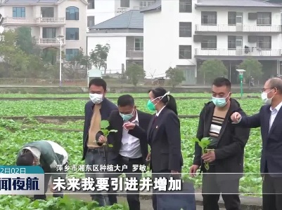 【二十大代表在基层】文兰英：把党的好声音送到群众心坎里