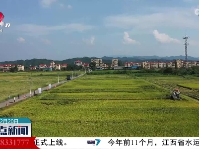 首批一万份农作物种质入库江西省农作物种质资源库