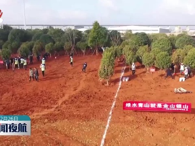 我省超额完成年度造林绿化任务