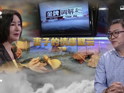 金牌调解20221223 妻子的情感疑云（下集）