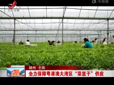 赣州全南：全力保障粤港澳大湾区“菜篮子”供应