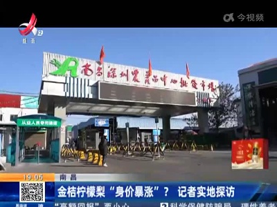 南昌：金桔柠檬梨“身价暴涨”？记者实地探访