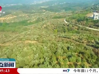 全省松材线虫病防控暨造林绿化现场会在宜春举行