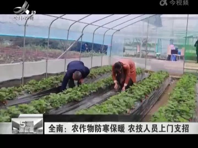 五哥帮忙团20221201
