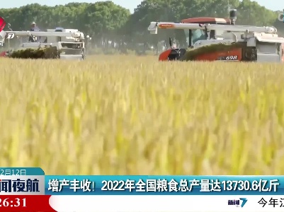 增产丰收！2022年全国粮食总产量达13730.6亿斤