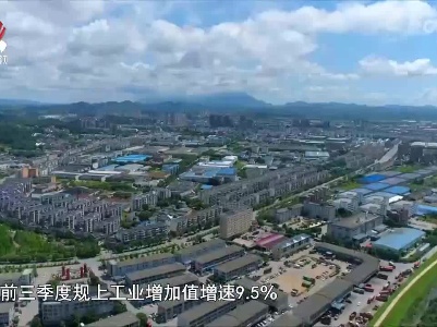 社会传真20221211 新时代新征程新伟业：赣北小城的发展双引擎