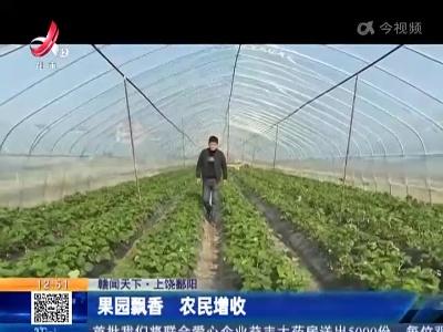 【赣闻天下】上饶鄱阳：果园飘香 农民增收