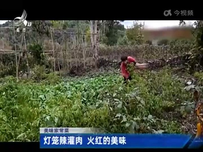 味家常菜：灯笼辣灌肉 火红的美味