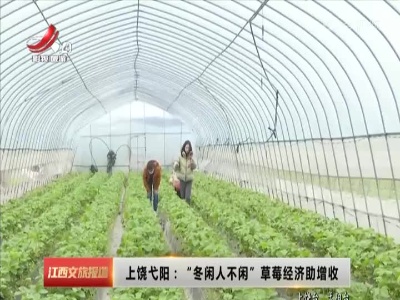 上饶弋阳：“冬闲人不闲”草莓经济助增收