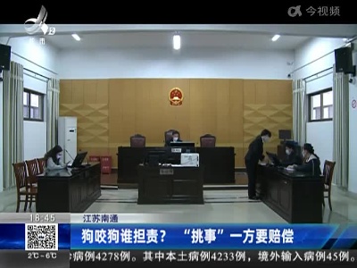 江苏南通：狗咬狗谁担责？ “挑事”一方要赔偿