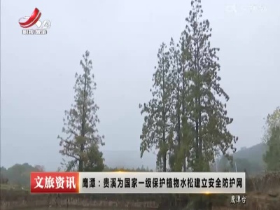 鹰潭：贵溪为国家一级保护植物水松建立安全防护网