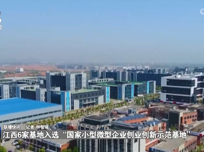 江西6家基地入选“国家小型微型企业创业创新示范基地”