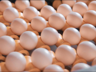 年货节销量增长50%，圣迪乐鸡蛋“拼”上兔年春节餐桌