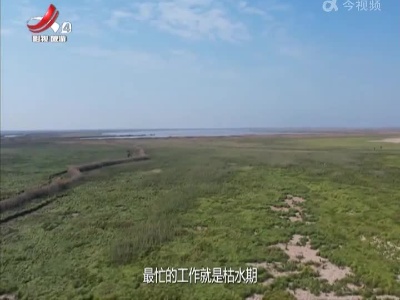 走近自然20230107