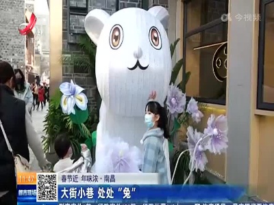 【春节近 年味浓】南昌：大街小巷 处处“兔”