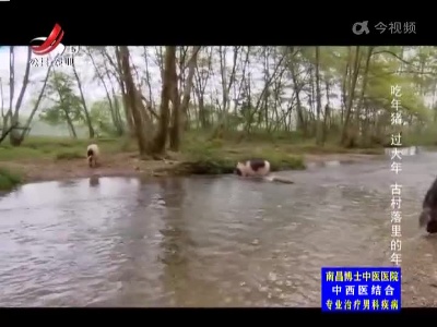 五哥帮忙团20230123
