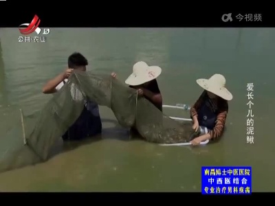 五哥帮忙团20230108