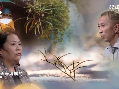 男女间为互惠互利闪婚 信任危机却引发婚姻崩盘