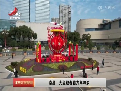 南昌：大型迎春花卉年味浓