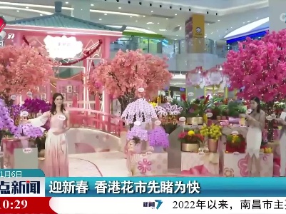 迎新春 香港花市先睹为快