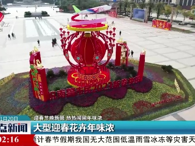 【迎春节换新颜 热热闹闹年味浓】大型迎春花卉年味浓