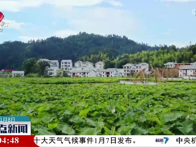 整点新闻20230108 10:00