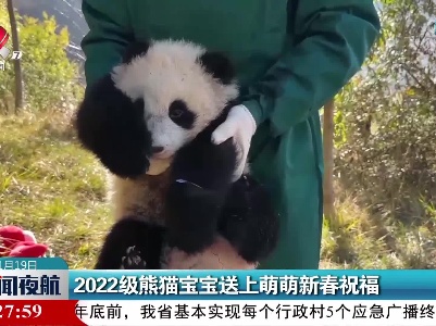 2022级熊猫宝宝送上萌萌新春祝福