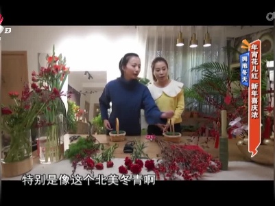 拥抱冬天——年宵花儿红 新年喜庆浓